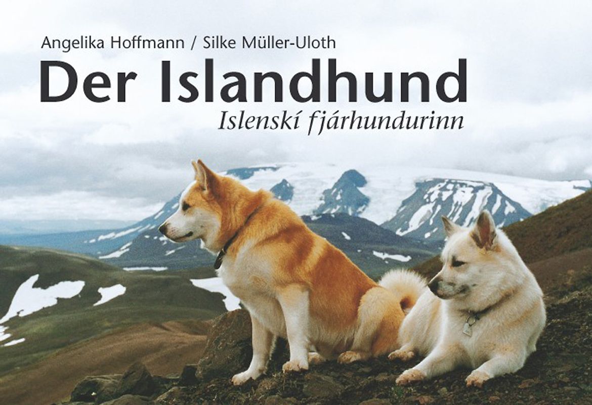 Der Islandhund