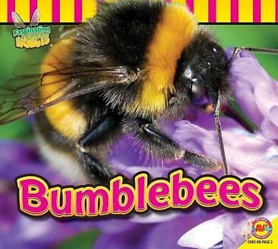 Bumblebees