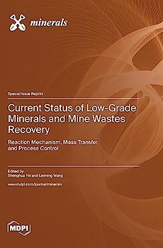 Current Status of Low-Grade Minerals and Mine Wastes Recovery: Reaction Mechanism, Mass Transfer, and Process Control