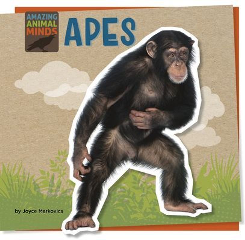Apes