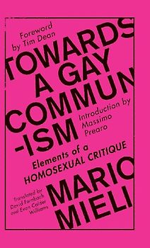 Towards a Gay Communism