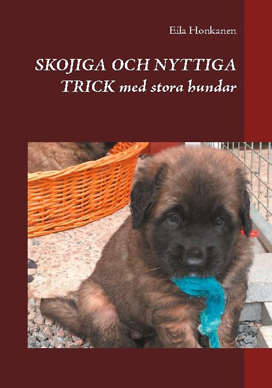 Skojiga och nyttiga trick med stora hundar