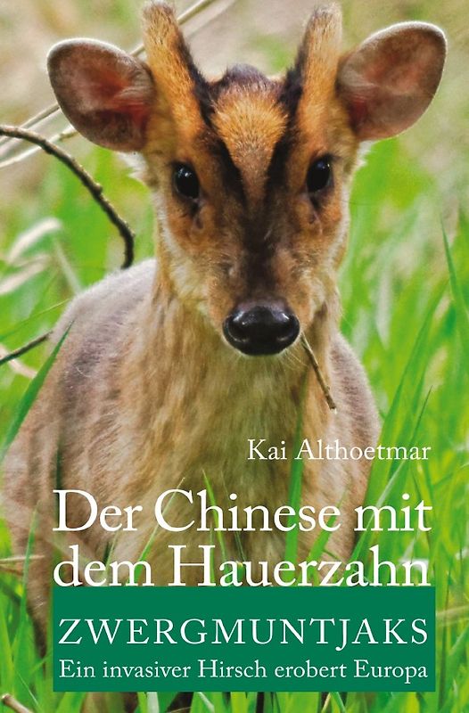 Der Chinese mit dem Hauerzahn