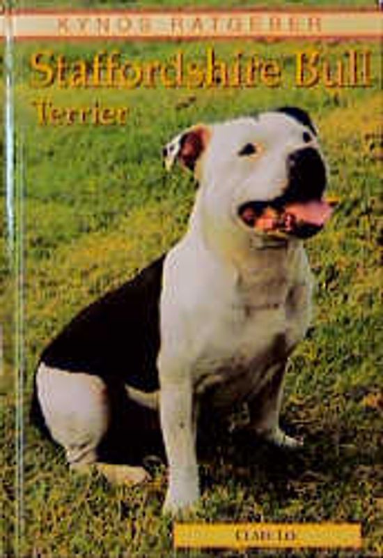 Staffordshire Bull Terrier