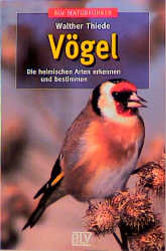 Vögel