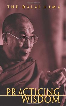 Practicing Wisdom: The Perfection of Shantideva's Bodhisattva Way