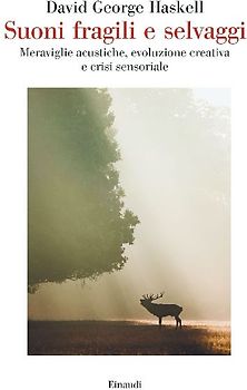 Suoni fragili e selvaggi. Meraviglie acustiche, evoluzione creativa e crisi sensoriale