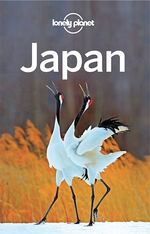 LONELY PLANET Reiseführer Japan