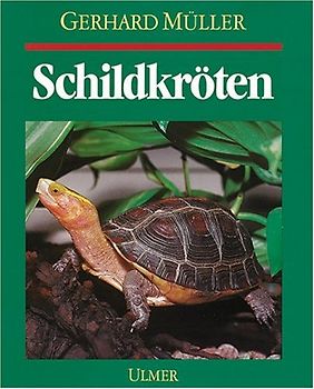 Schildkröten