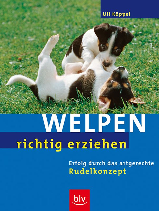 Welpen richtig erziehen
