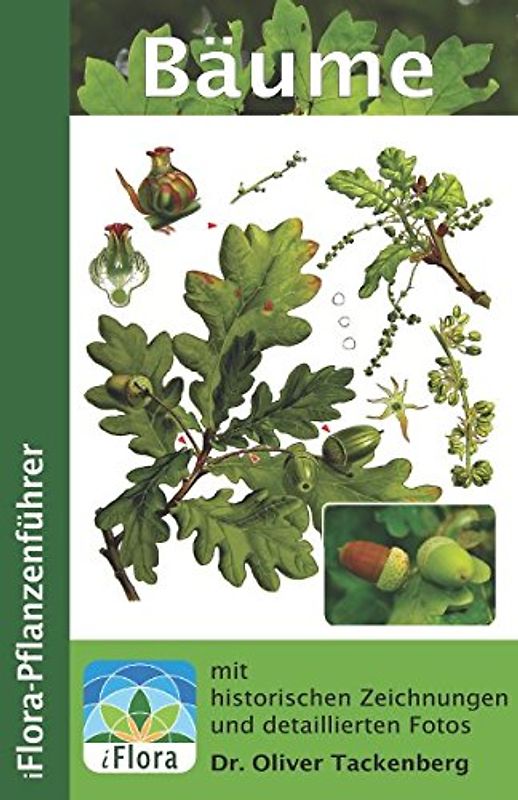 Bäume (iFlora Pflanzenführer, Band 1)