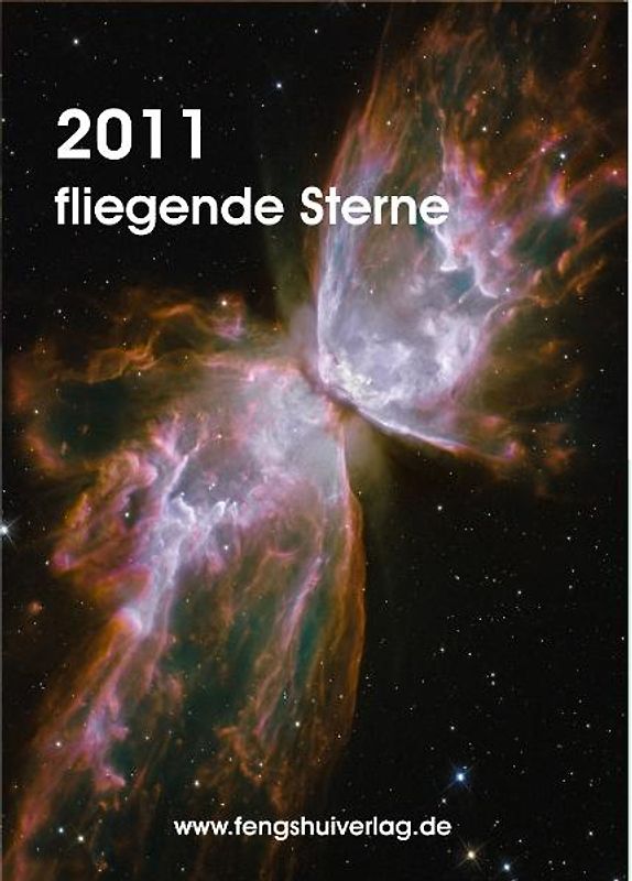 Fliegende Sterne 2011