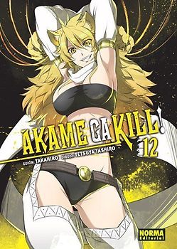 Akame ga kill! 12
