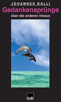 Gedankensprünge über die anderen hinaus (Band 7)