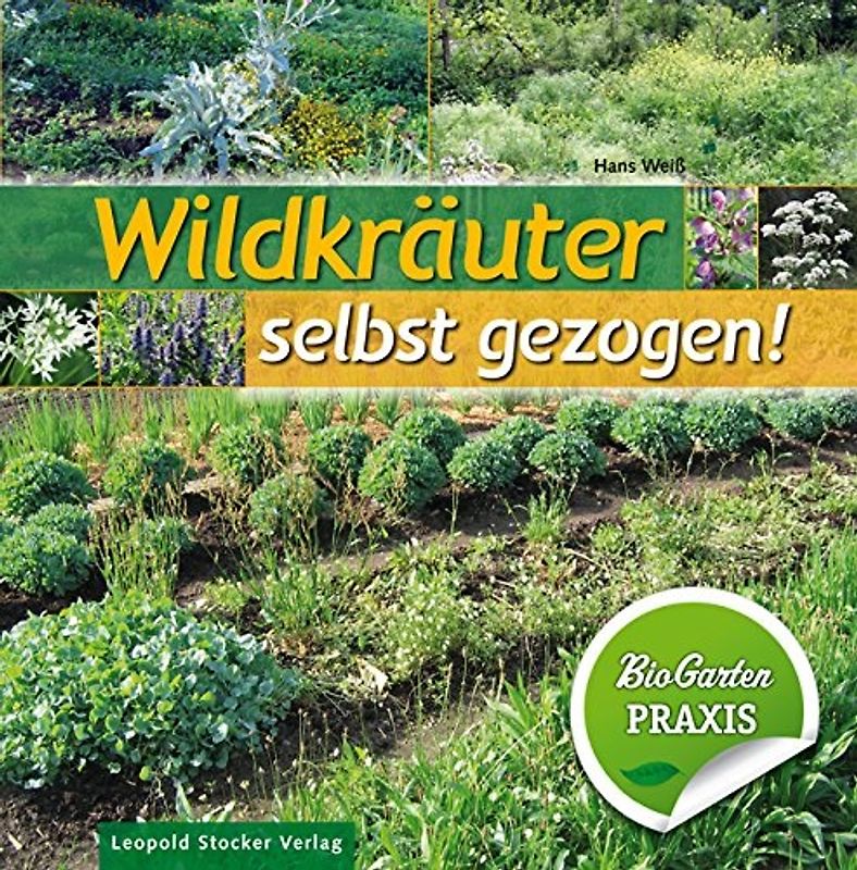 Wildkräuter selbst gezogen!