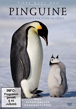 Pinguine DVD