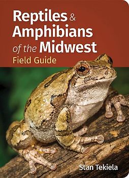 Reptiles & Amphibians of the Midwest Field Guide