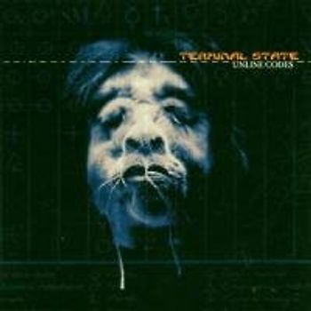 Terminal State - Unline Codes
