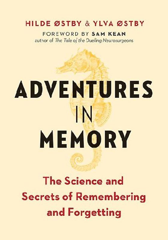 Adventures in Memory