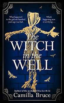 The Witch in the Well: A deliciously disturbing Gothic tale of a revenge reaching out across the years