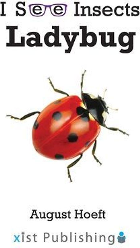 Ladybug