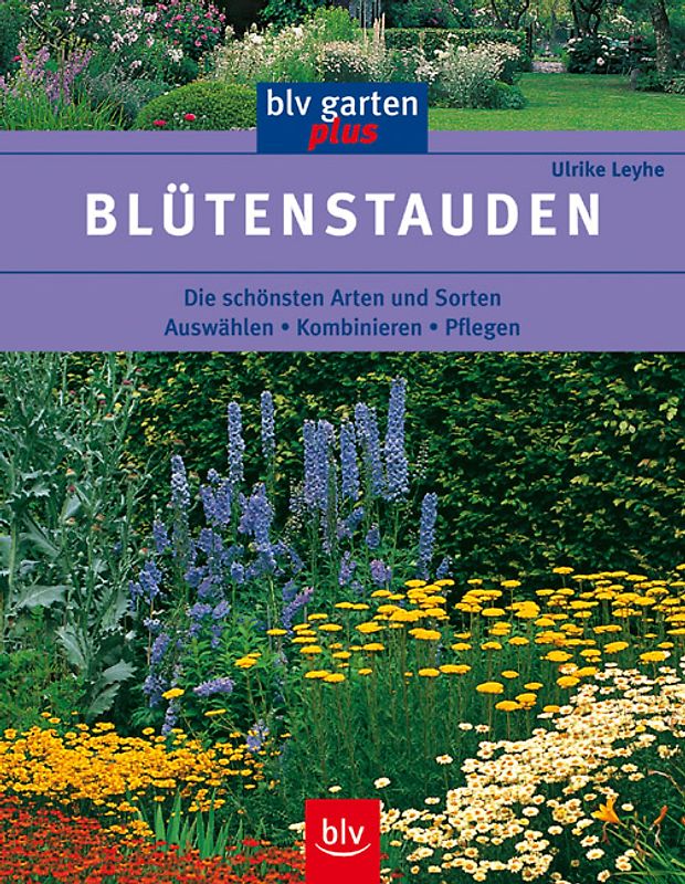Blütenstauden