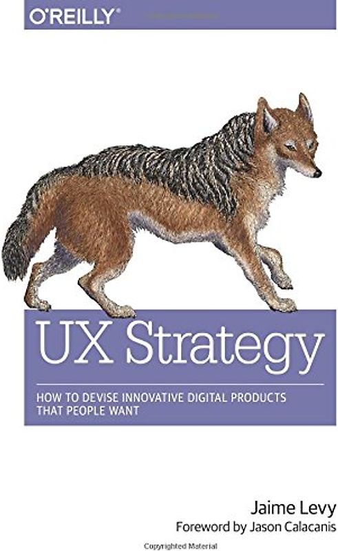 UX Strategy: How to Devise Innovative Digital Products That People Want - Levy, Jaime