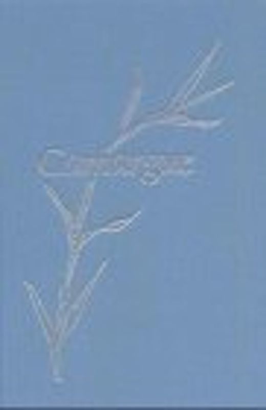 Camargue. Wirklichkeit und Traum