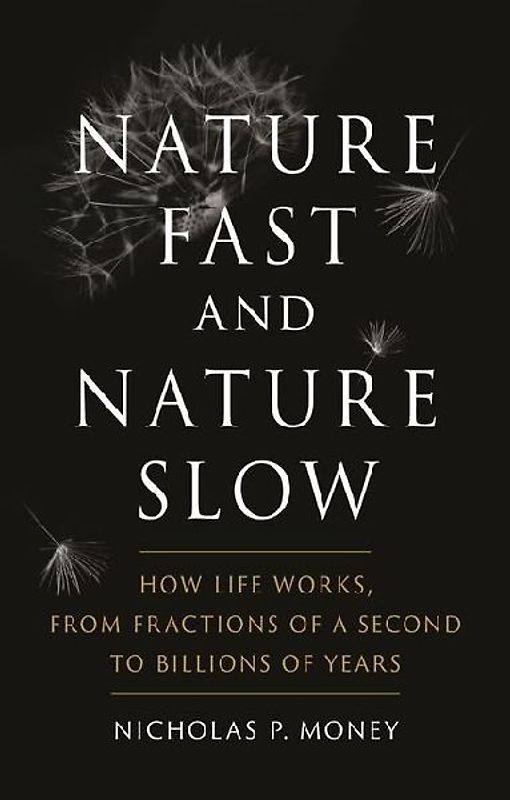 Nature Fast and Nature Slow