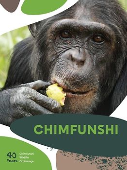 CHIMFUNSHI – 40 Years Chimfunshi Wildlife Orphanage