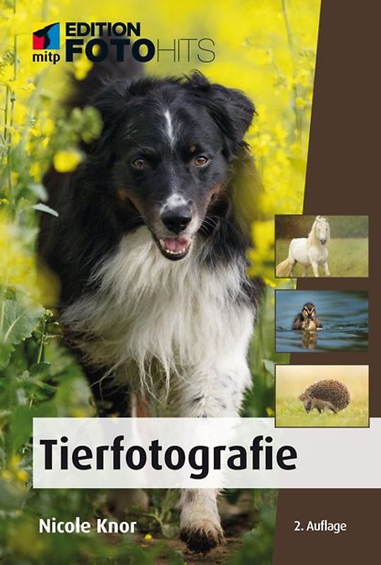 Tierfotografie