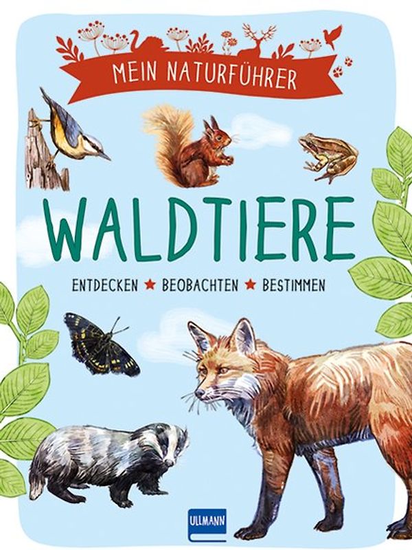 Mein Naturführer - Waldtiere