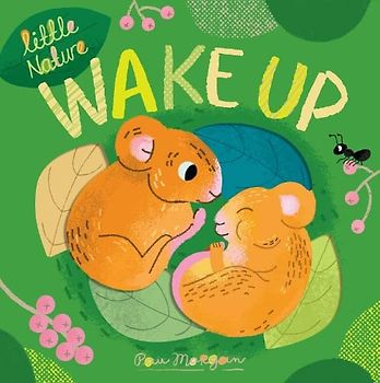 Wake Up: 3 (Little Nature, 3)