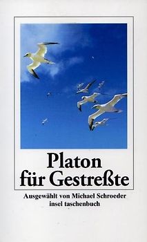Platon für Gestreßte