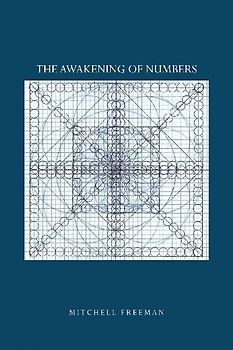 The Awakening of Numbers