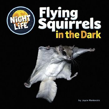 Flying Squirrels in the Dark
