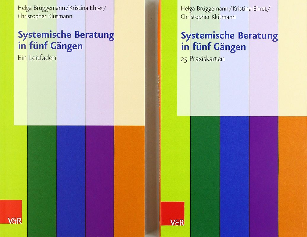 Systemische Beratung in fünf Gängen