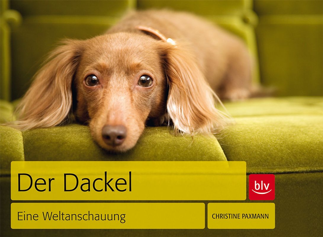 Der Dackel