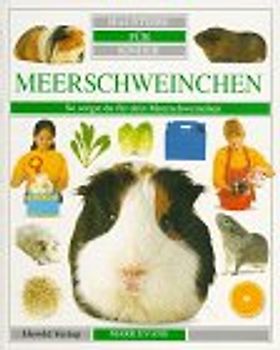 Meerschweinchen. So sorgst du für dein Meerschweinchen