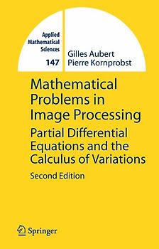 Mathematical Problems in Image Processing