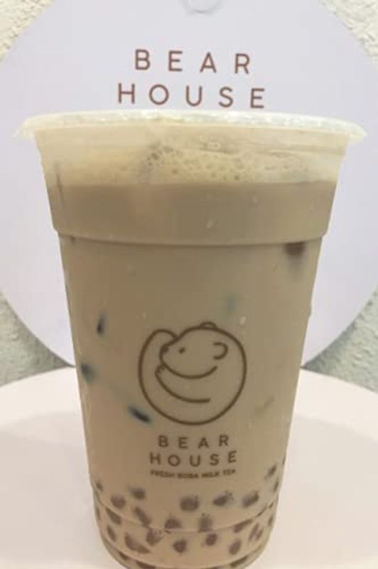 Bear house: Bear of the Blank writing Journal / Notebook /Diary /6" x 9" inches/110 pages/High Quality Printed Notebook