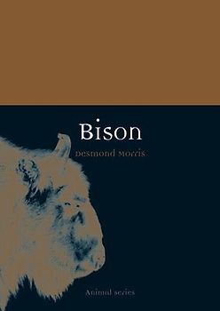 Bison