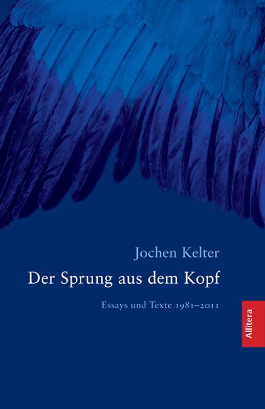 Der Sprung aus dem Kopf