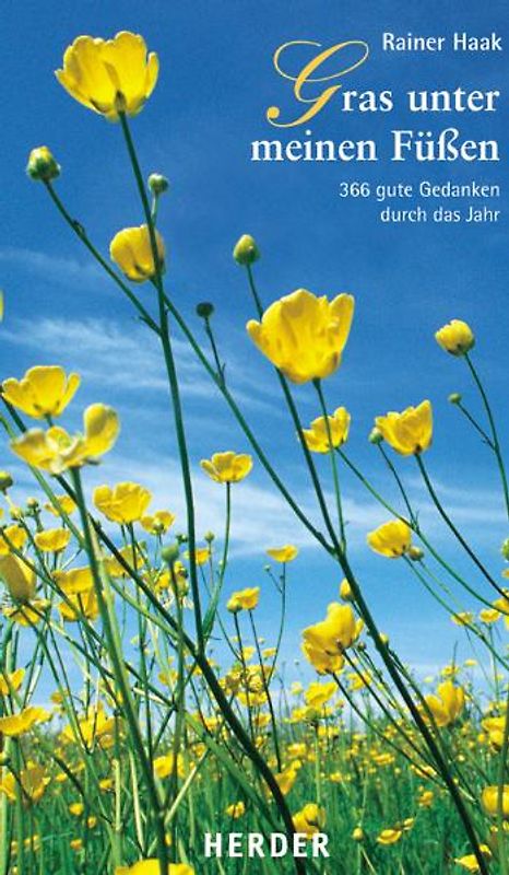 Gras unter meinen Füssen