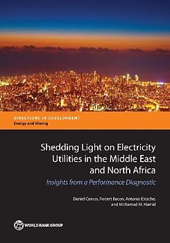 Shedding Light on Electricity Utilities in the Middle East and North Africa