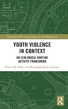 Youth Violence in Context
