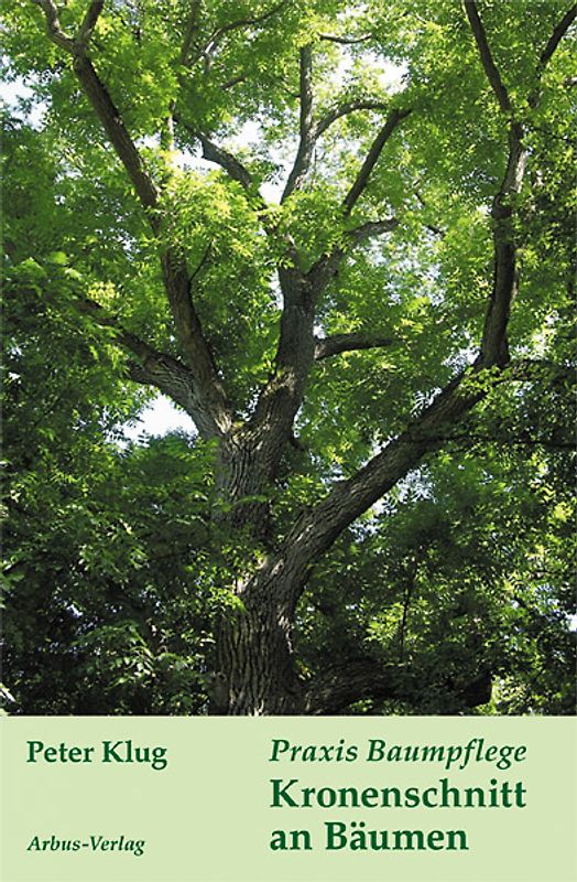 Praxis Baumpflege - Kronenschnitt an Bäumen
