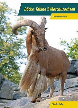 Böcke, Takine, Moschusochsen