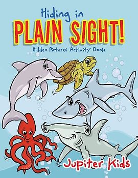 Hiding in Plain Sight! Hidden Pictures Activity Book