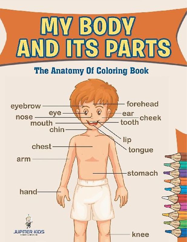 My Body And Its Parts